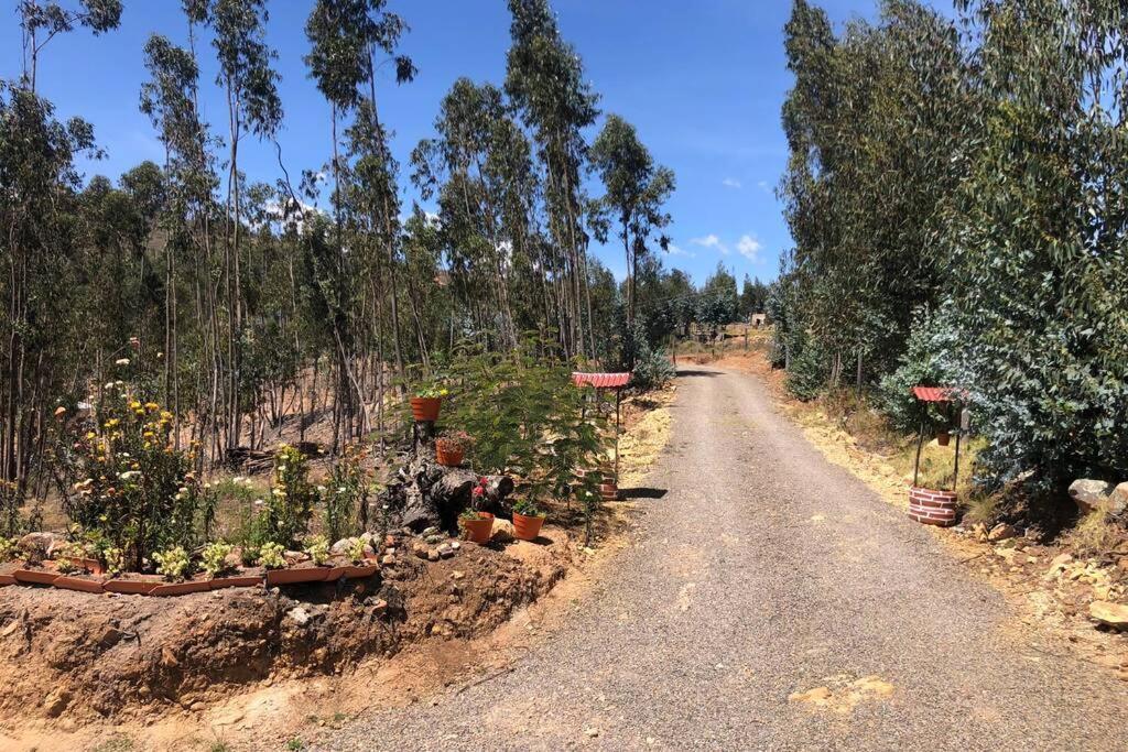 Cabana Buenavista Es Un Lugar Para Descansar. Iza Εξωτερικό φωτογραφία